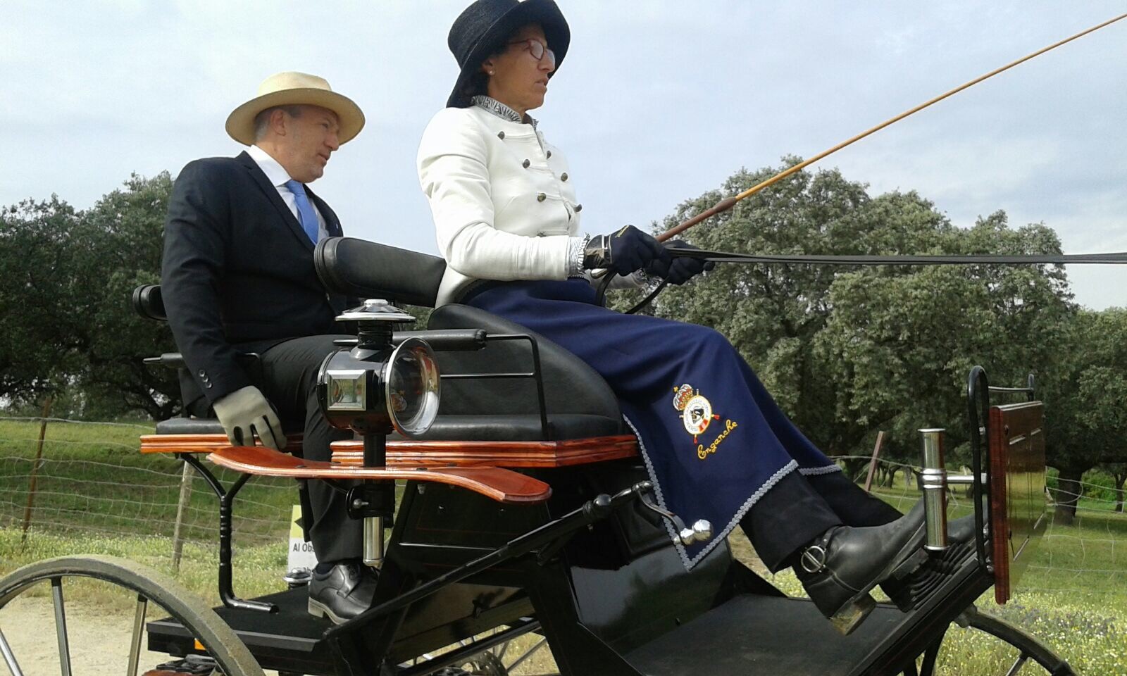 Medalla de bronce en limoneras de la Selección Navarra de Enganches en el Campeonato de España 2017